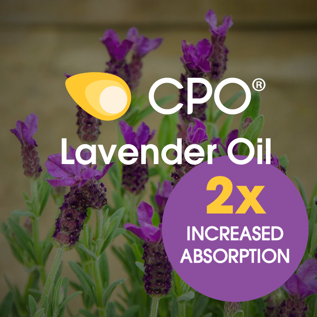 CPO® Lavender Oil